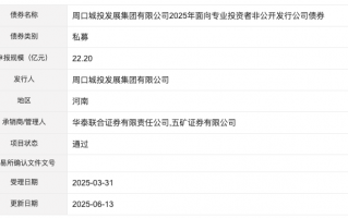 周口城投发展集团22.2亿元私募债项目获深交所通过|界面新闻 · 快讯