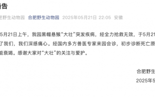 合肥野生动物园：网红方脸猴“大壮”心肺衰竭去世|界面新闻 · 快讯